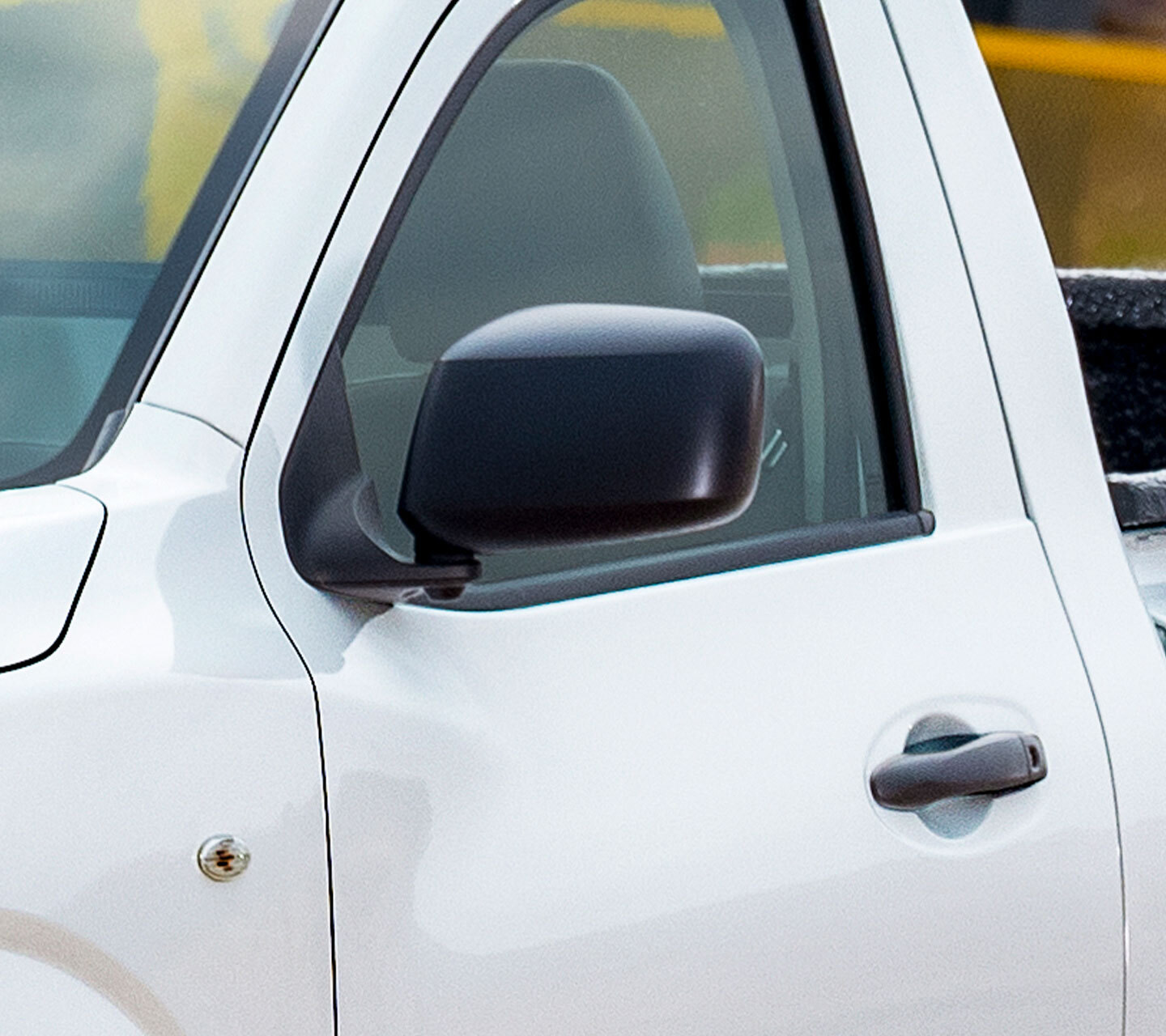 BLACK DOOR MIRRORS
